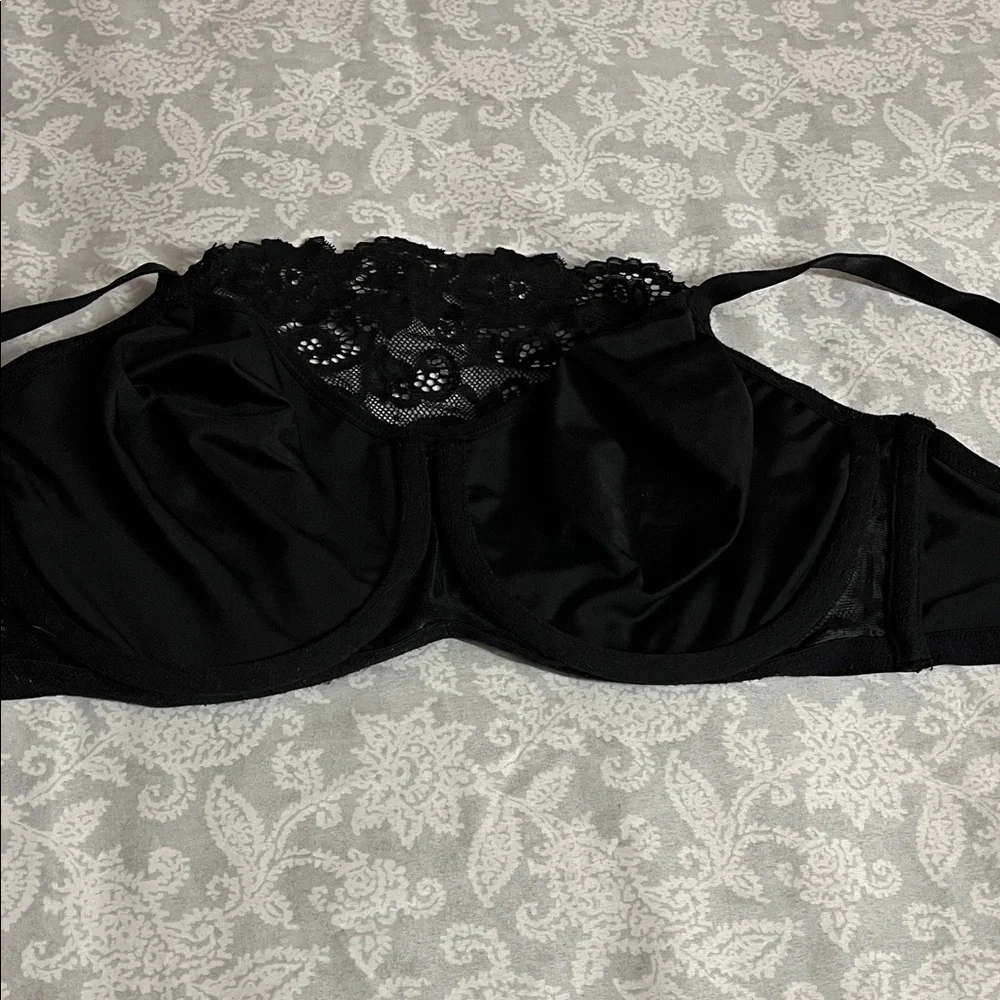 Olga experience elegance